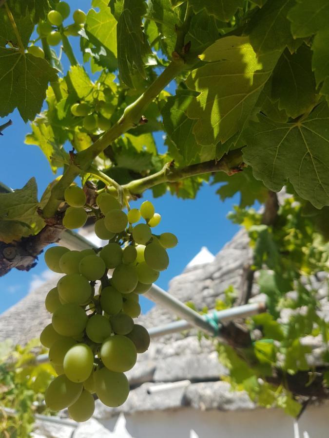 I Trulli Di Nonno Giovanni Альберобелло Екстер'єр фото